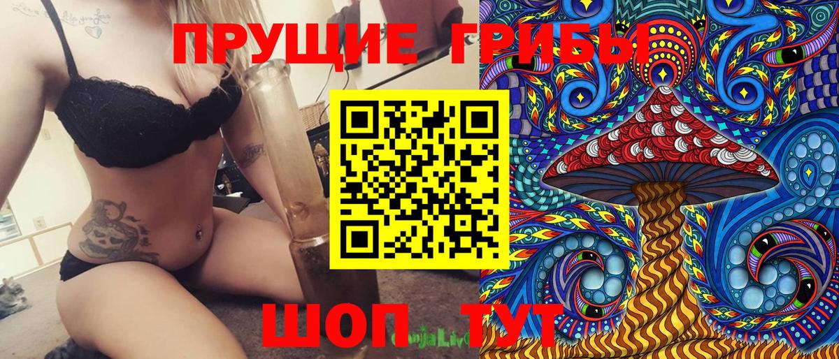 Псилоцибиновые грибы мицелий  Вход с VPN  Буйнакск  Псилоцибиновые грибы Psilocybe 