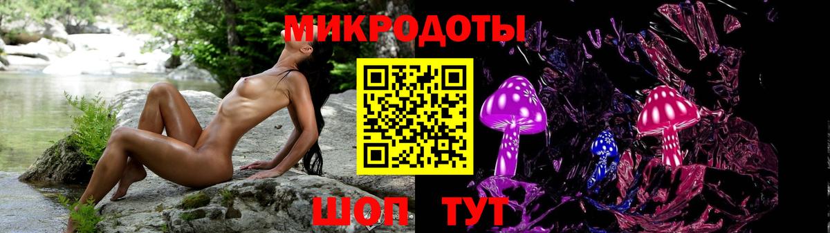 Псилоцибиновые грибы GOLDEN TEACHER Буйнакск